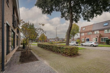 sha256:113f80268b9d0b9c25494ac258af8dc0e5b7f0dd03dfd524de700afa24f0c763