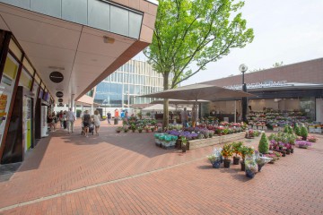 sha256:2739a8b544dc96497dbc58e735478599da6e194a2746e60bc41382804c913da6