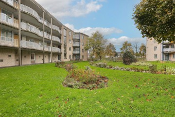 sha256:2d35a7deecf88d77c32a4f509075ac92efa078cd840e85a8b7c651daaff51360