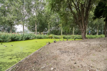 sha256:5aa5e4a396ec6956c2f94f8e81b2506ff38a1941f2fb8c805c7333bf58d13d93