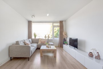 sha256:877ae209b09395bed6c1c4e7658cad2682d0320e41f0416edcc0d82e68c73346