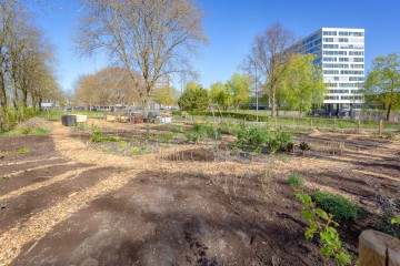 sha256:8c686b2bc95053f356ee95b753a5916e66a9b6c68ae865ebe58a8e7786f10b29