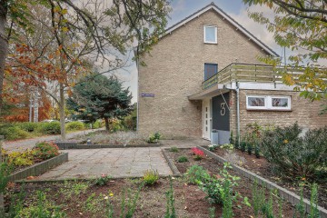 sha256:ad00ee61e9682f930da23916f6bee921ba1acf20790934a172d83db81e21367c