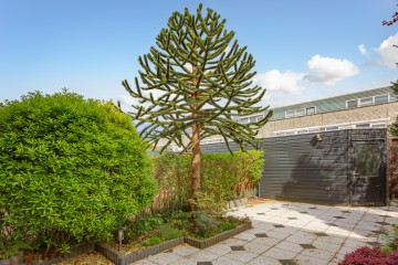 sha256:b6f9818fd417957972602862909f999139a9b7b4bbb6facfa9ee15a4150cdc6f