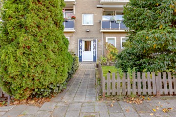 sha256:b896f2d805a9620d2950543404ba24fc1fd6446cf439e21150f0bfbf8f5fbb7d